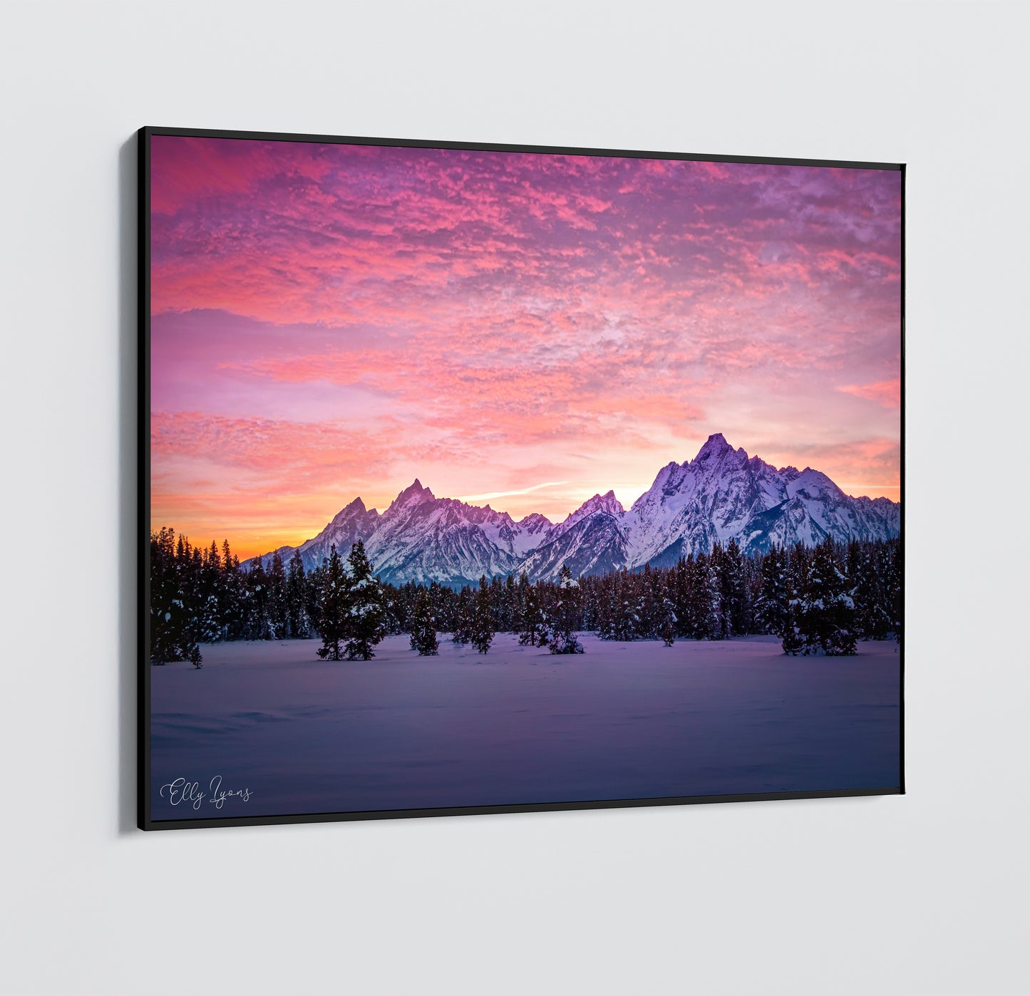 Grand Teton Mountain Sunset Photo | Winter Tree Mountain Landscape Print | Pink Winter Mountain Sunset Canvas | Snowy Wyoming Mountain Print