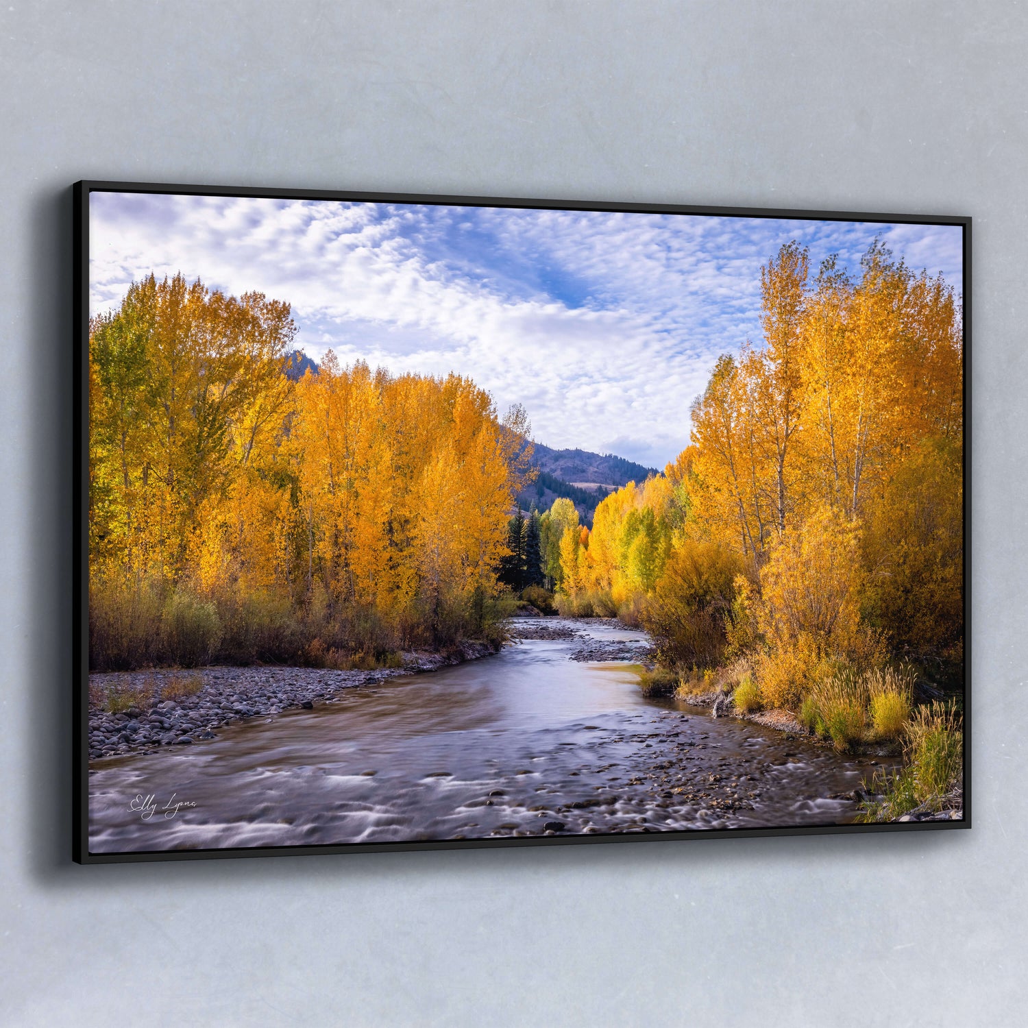 Serene autumn landscape with golden aspens lining a gentle mountain river under a soft sky.
